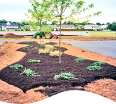 Area neatly landscaped